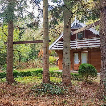 Chalet Oosterduinen By Interhome Norg エクステリア 写真